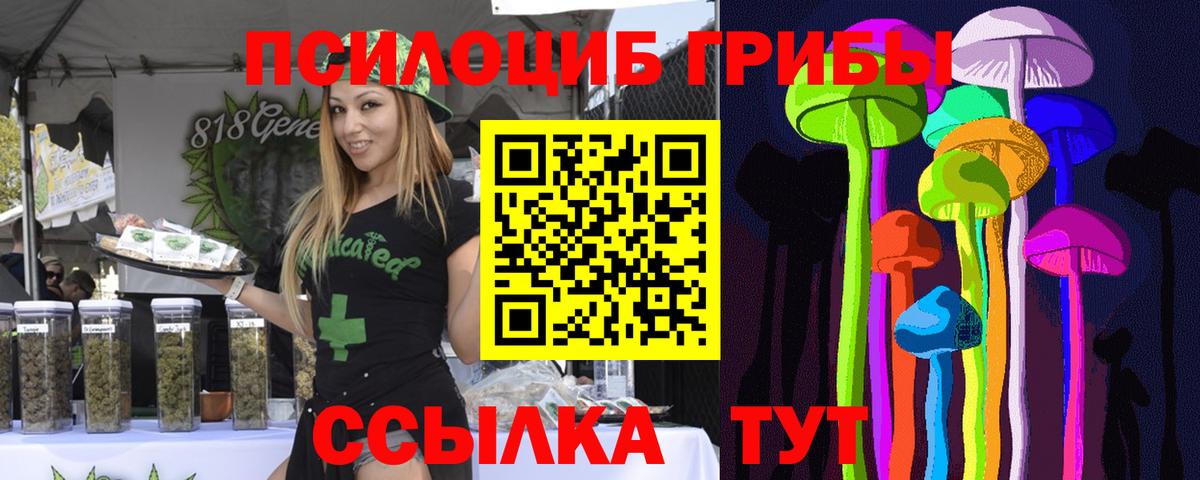 Галлюциногенные грибы Psilocybe Белово